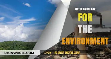 Smoke's Environmental Impact: Harmful Effects on Air, Climate, and Ecosystems