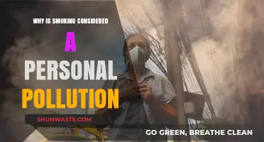 Smoking: A Personal Pollution Crisis Affecting Health and Environment