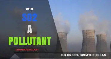Understanding SO2: Its Harmful Effects and Impact as a Pollutant