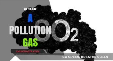 Understanding SO2: A Toxic Pollutant and Its Environmental Impact