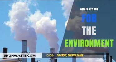 SO2's Environmental Impact: Harmful Effects and Ecological Consequences Explained