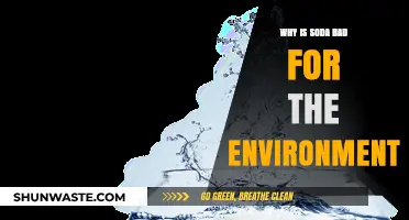 Soda's Environmental Impact: Uncovering the Hidden Costs of Fizz