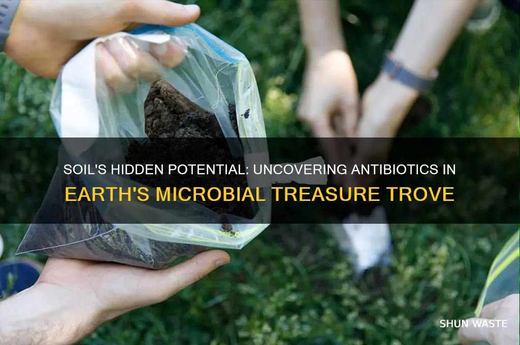 why is soil a good environment for finding antibiotics