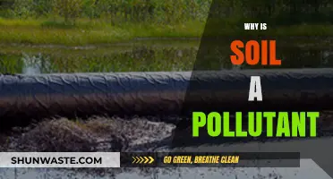 Soil Pollution: Understanding How Soil Becomes a Contaminant