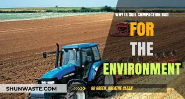 Soil Compaction's Hidden Environmental Costs: Impacts and Solutions