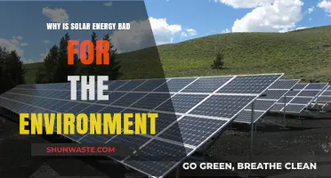 Solar Energy's Dark Side: Environmental Impacts and Hidden Costs