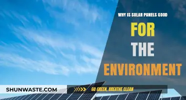Solar Panels: Eco-Friendly Energy Solutions for a Greener Future