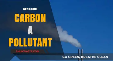Solid Carbon's Environmental Impact: Understanding Its Role as a Pollutant