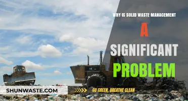 The Growing Crisis of Solid Waste Management: A Global Concern