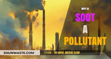 Soot's Harmful Impact: Understanding Its Role as a Dangerous Pollutant