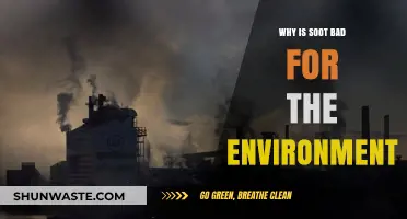 Soot's Environmental Impact: Harmful Effects on Climate and Health