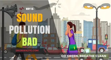 The Harmful Effects of Sound Pollution on Health and Environment