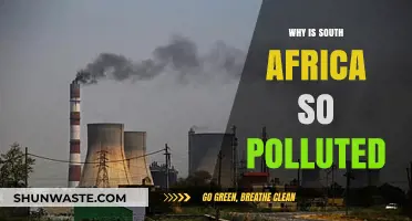 South Africa's Pollution Crisis: Causes, Impacts, and Urgent Solutions