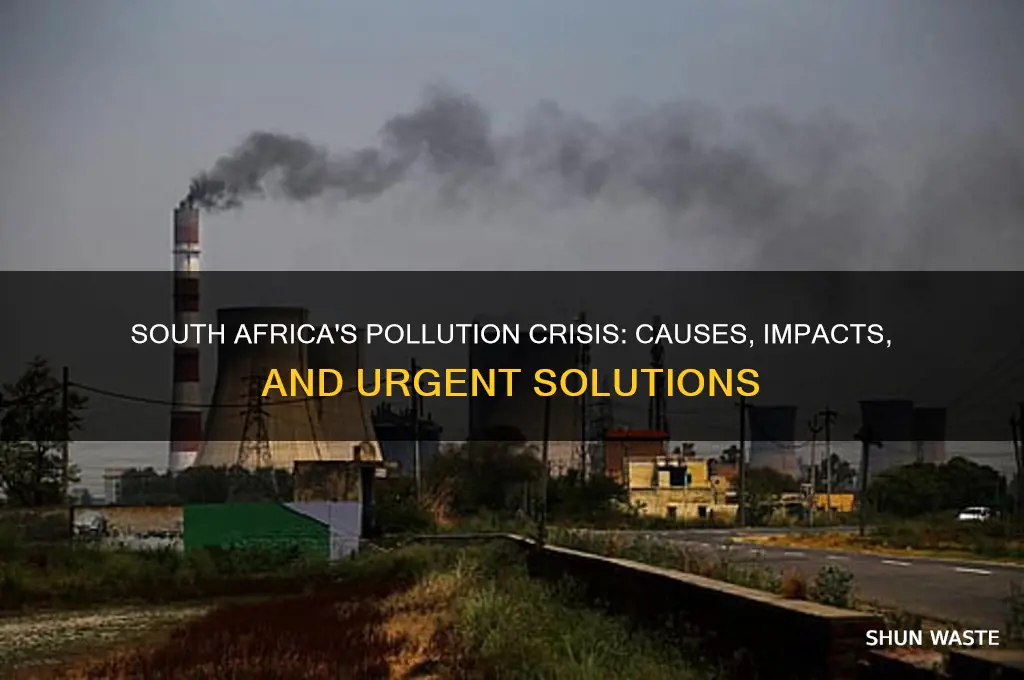 why is south africa so polluted
