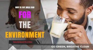 Soy Milk's Environmental Impact: Uncovering the Hidden Ecological Costs
