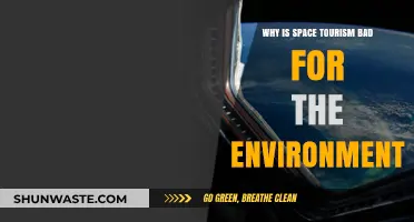 Space Tourism's Environmental Impact: A Growing Concern for Earth