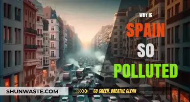 Spain's Pollution Crisis: Causes, Impacts, and Urgent Solutions Needed
