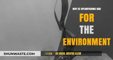 Spearfishing's Environmental Impact: Harming Marine Ecosystems and Biodiversity