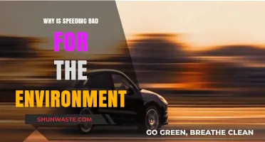 Speeding's Environmental Impact: Harmful Effects on Air, Climate, and Wildlife