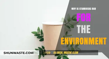 Starbucks' Environmental Impact: Unsustainable Practices and Their Global Consequences