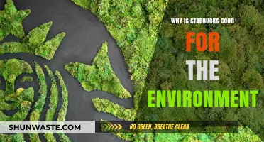 Starbucks' Eco-Friendly Initiatives: How the Coffee Giant Benefits Our Planet