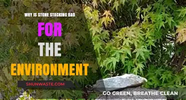 Stone Stacking's Hidden Harm: Environmental Impacts and Ecosystem Disruption