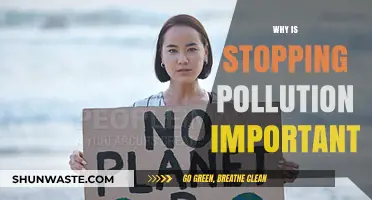 Stopping Pollution: A Crucial Step for Our Planet's Survival and Future