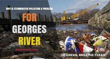 Stormwater Pollution Threatens Georges River's Health and Ecosystem