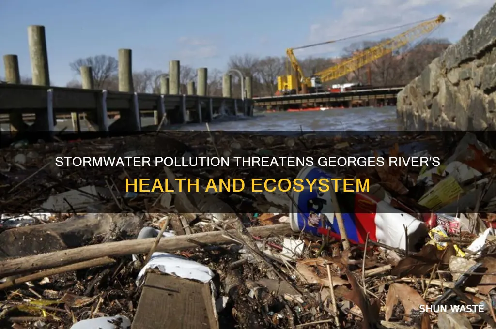 why is stormwater pollution a problem for georges river