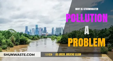Stormwater Pollution: A Hidden Threat to Our Environment and Health