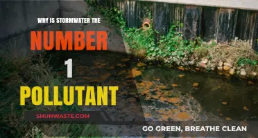 Stormwater Pollution Crisis: The Leading Contaminant Threatening Our Waterways