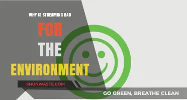 Streaming's Hidden Cost: Environmental Impact of Digital Entertainment