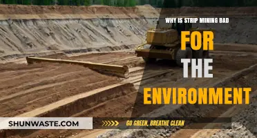 Strip Mining's Devastating Environmental Impact: Destruction, Pollution, and Ecosystem Loss