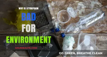 Styrofoam's Environmental Impact: Harmful Effects and Sustainable Alternatives