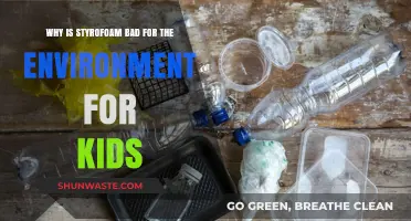 Why Styrofoam Harms Our Planet: A Kid-Friendly Guide