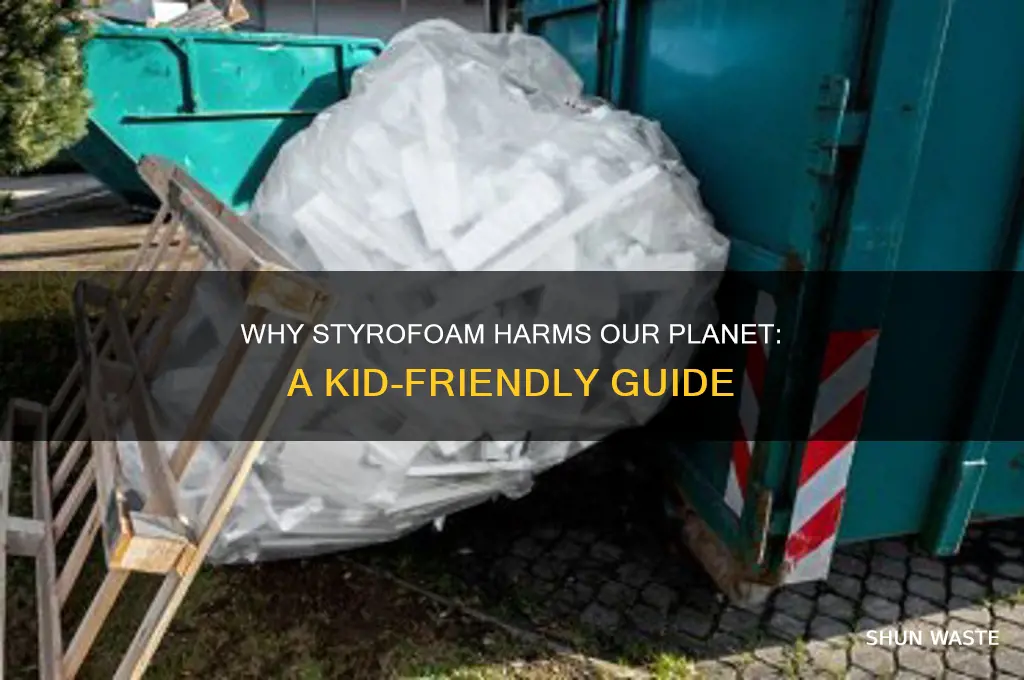 why is styrofoam bad for the environment for kids