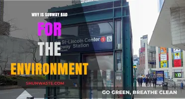 Subway's Environmental Impact: Uncovering the Hidden Costs of Fast Food