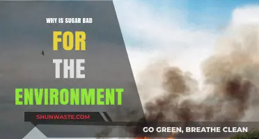 Sugar's Environmental Impact: Uncovering the Hidden Costs of Sweetness