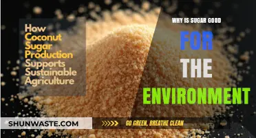 Sugar's Surprising Eco-Benefits: How Sweet Crops Help Our Planet Thrive