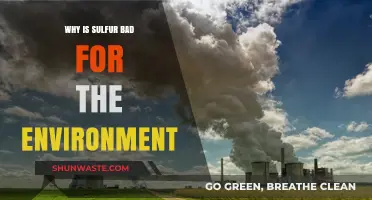 Sulfur's Environmental Impact: Pollution, Acid Rain, and Ecosystem Threats