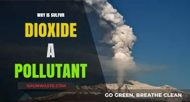 Sulfur Dioxide's Harmful Impact: Understanding Its Role as a Pollutant