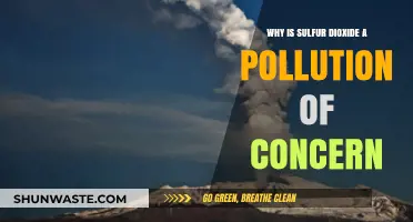 Sulfur Dioxide: A Harmful Pollutant Threatening Our Environment and Health