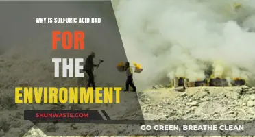 Sulfuric Acid's Environmental Impact: Pollution, Ecosystem Damage, and Health Risks