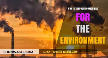 Sulphur Dioxide's Environmental Impact: Harmful Effects and Ecological Consequences