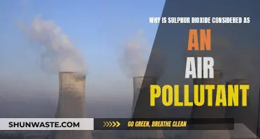 Sulphur Dioxide: A Hazardous Air Pollutant and Why?