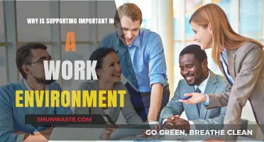 Fostering Collaboration: The Importance of Support in the Workplace