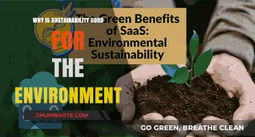 Sustainability Benefits: Protecting Our Planet for a Greener Future