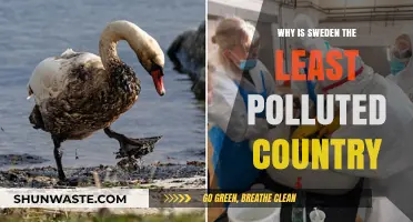 Sweden's Green Success: Unveiling the Secrets of Its Pristine Environment