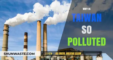 Taiwan's Pollution Crisis: Causes, Impacts, and Urgent Solutions Needed