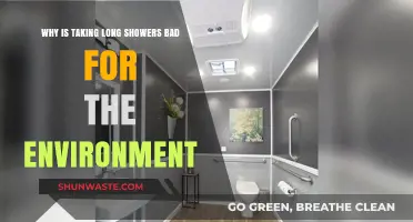 Long Showers' Hidden Cost: Environmental Impact and Water Conservation Tips